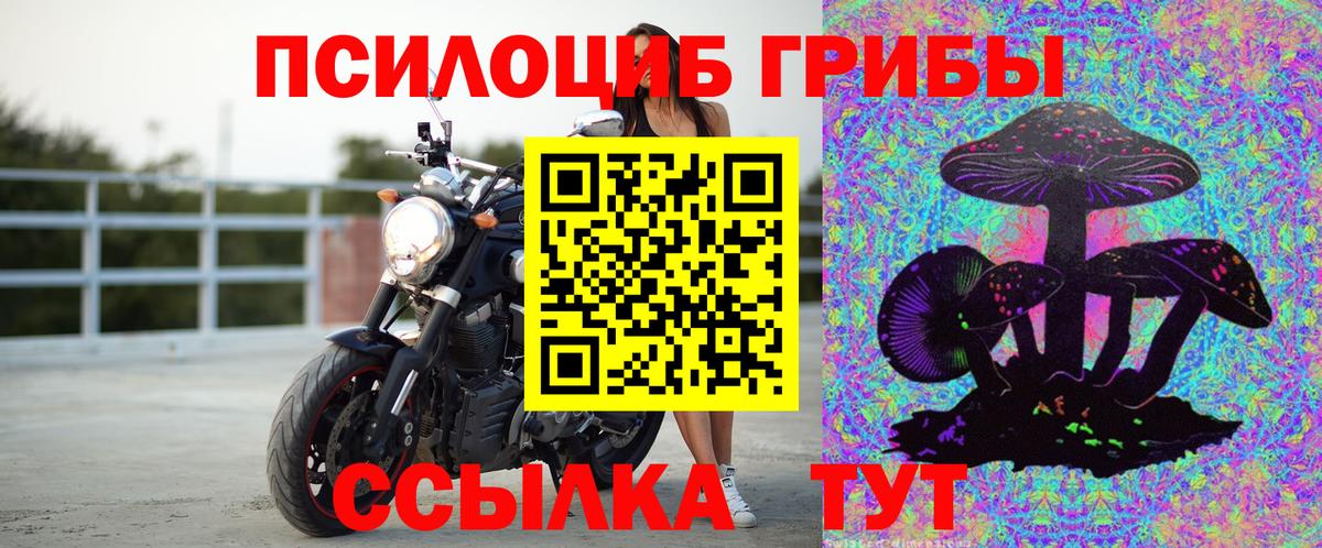 Псилоцибиновые грибы мицелий  Вход с VPN  Псилоцибиновые грибы Cubensis  Орёл 