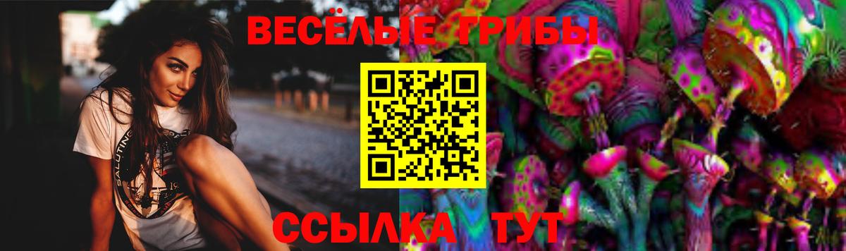 Галлюциногенные грибы GOLDEN TEACHER Орёл